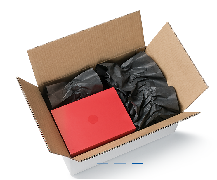 PAPERplus Papillon von Storopack