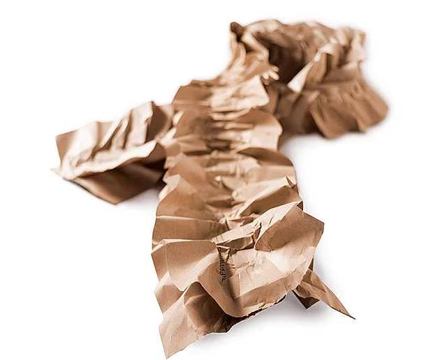 PAPERplus® DRAGONFLY | 2x80g 300mm x 280m Dragonfly